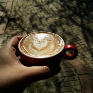coftale terasa